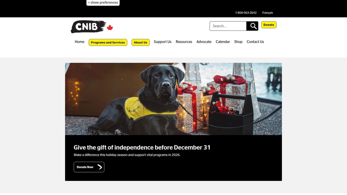 7 Best Eye Camp Near Me Options to Try in 2026 - Canadian National Institute for the Blind (CNIB) Vision Support Clinics