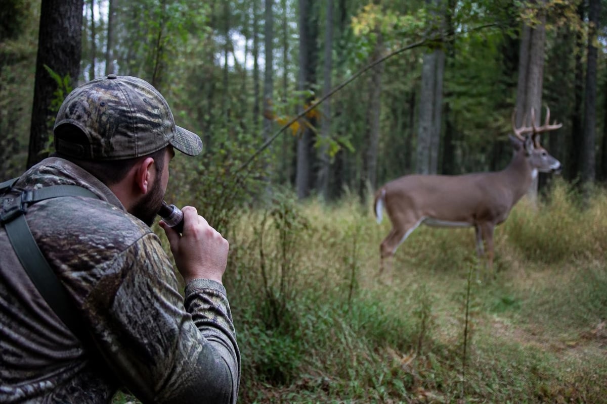 Rut-phase hunting tactics
