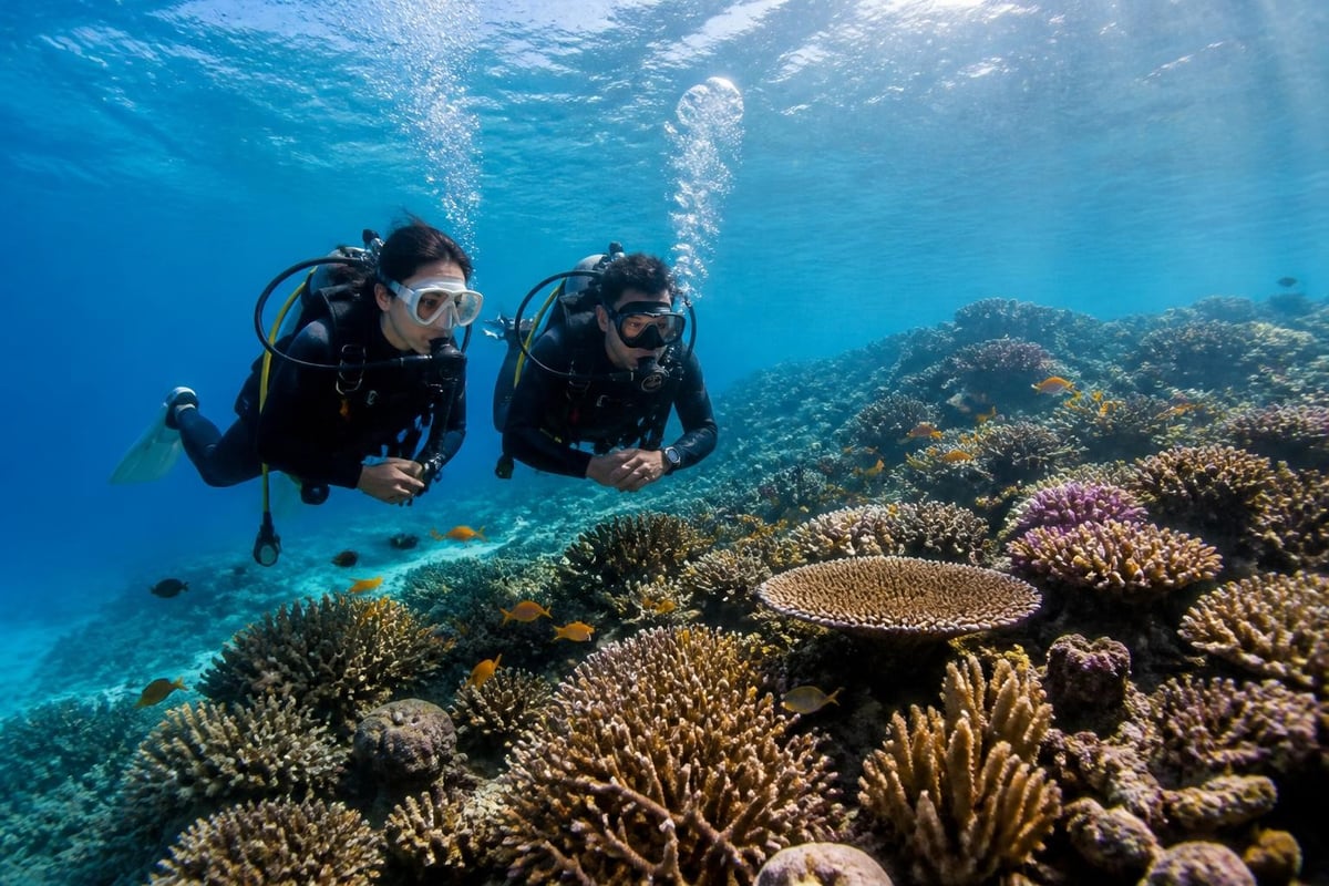 Shallow reef diving benefits