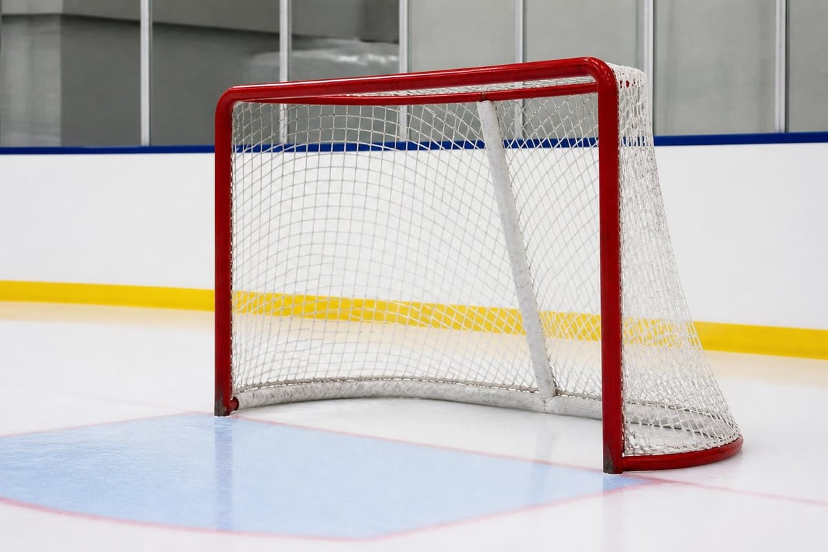 Hockey goal regulation dimensions