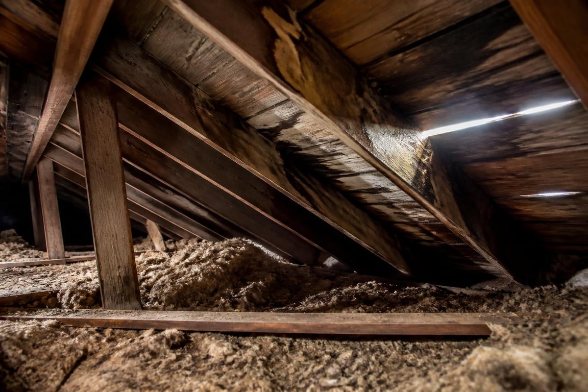 Interior roof damage warning signs in attic spaces