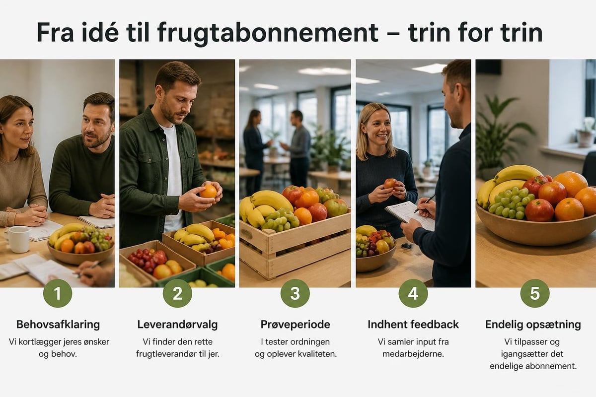 Frugtabonnement implementeringsproces