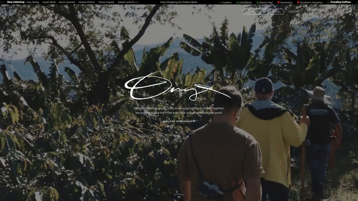 9 Best Premium Coffee Brands to Try in 2026 - Onyx Coffee Lab