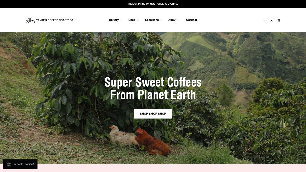 9 Best Premium Coffee Brands to Try in 2026 - Tandem Coffee Roasters