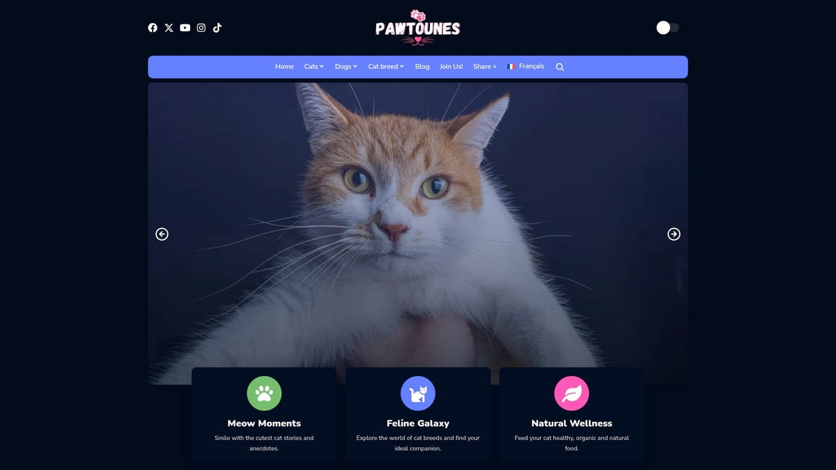 Pawtounes - Guide Complet Chat Chiot : Conseils Essentiels 2026 - Guide Complet Chat Chiot : Conseils Essentiels 2026 - Découvrir Pawtounes : conseils et communauté pour passionnés de chats