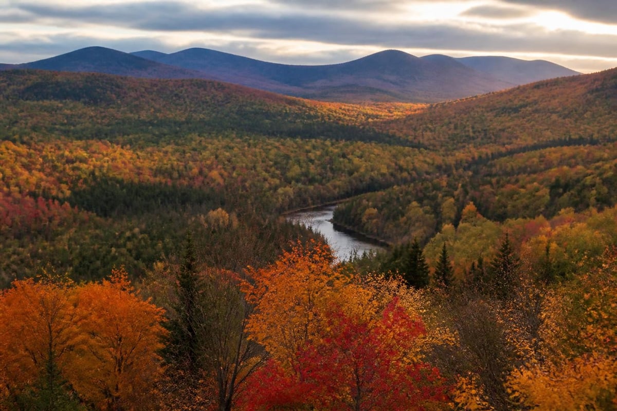Maine fall foliage timing