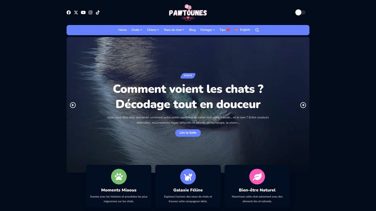 Pawtounes - Guide Complet Sur Le Son De Chaton : Comprendre Et Identifier - Guide Complet Sur Le Son De Chaton : Comprendre Et Identifier - Découvrir Pawtounes : une ressource précieuse pour décrypter le langage félin