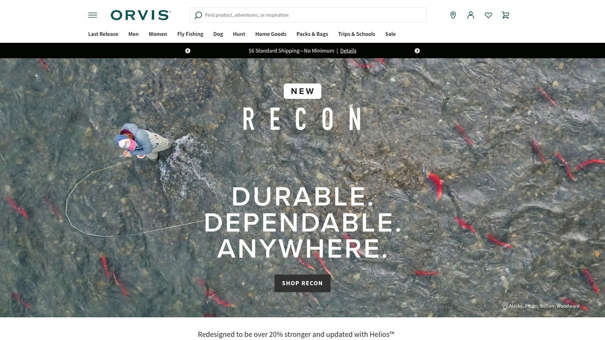 9 Essential Reflective Dog Accessories for Safer Walks 2026 - Orvis Reflective Dog Leash