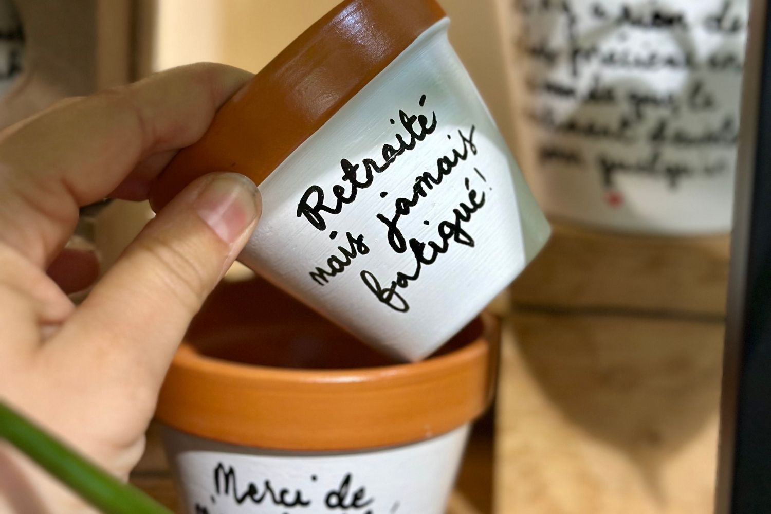 Design sans titre (52).jpg Pourquoi le pot à fleurs fait toute la différence