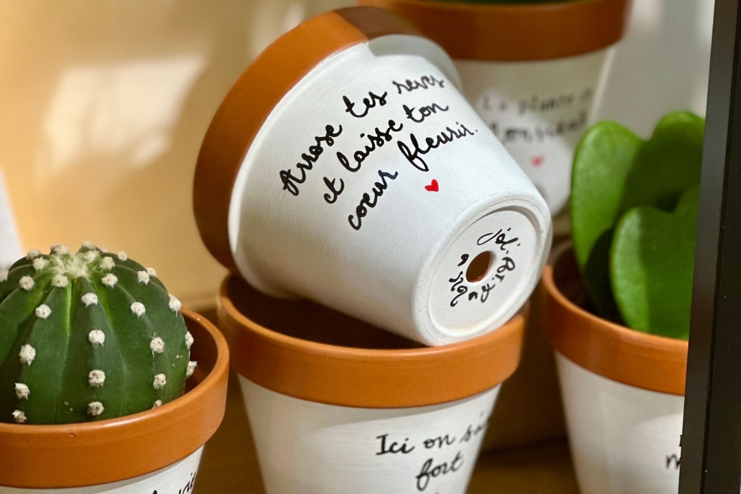 Design sans titre (53).jpg Formes, tailles et fonctionnalités : trouver l’équilibre parfait