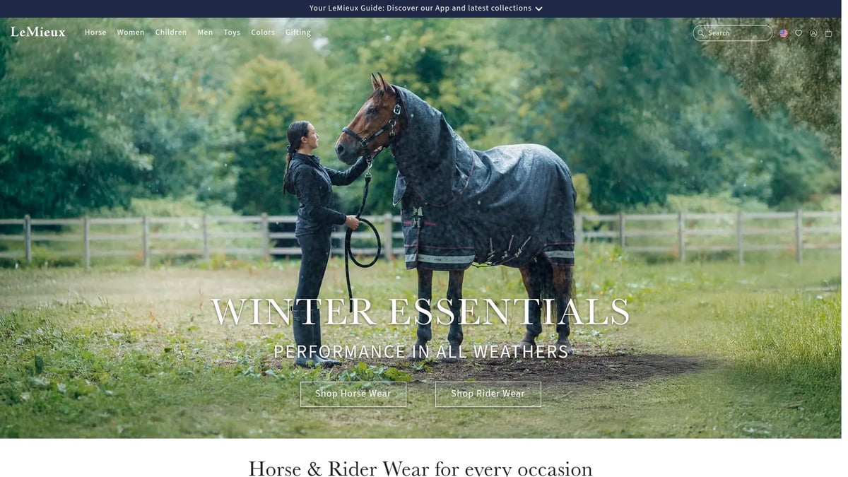 7 Best Horse Riding Breeches for Men in 2026 - Mark Todd Men’s Auckland Breeches