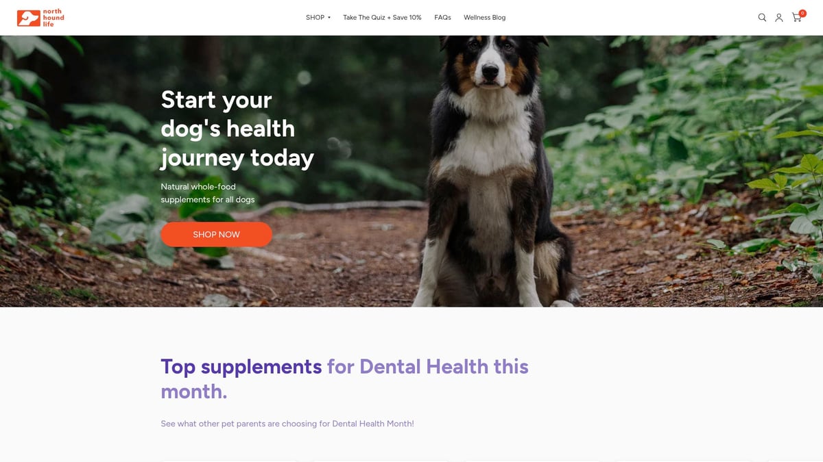 Essential Guide to Dog Food Supplement Benefits 2026 - North Hound Life: Pioneering Natural Whole-Food Supplements in Canada