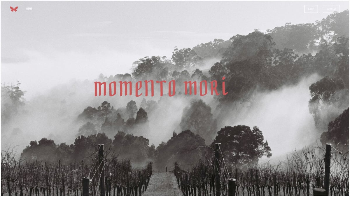 Discover 10 Best Natural Wines to Try in 2026 - Momento Mori “Fistful of Flowers”, Australia