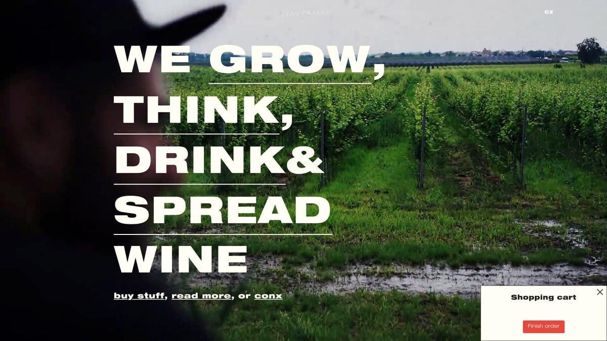 Discover 10 Best Natural Wines to Try in 2026 - Milan Nestarec “OKR Orange”, Czech Republic