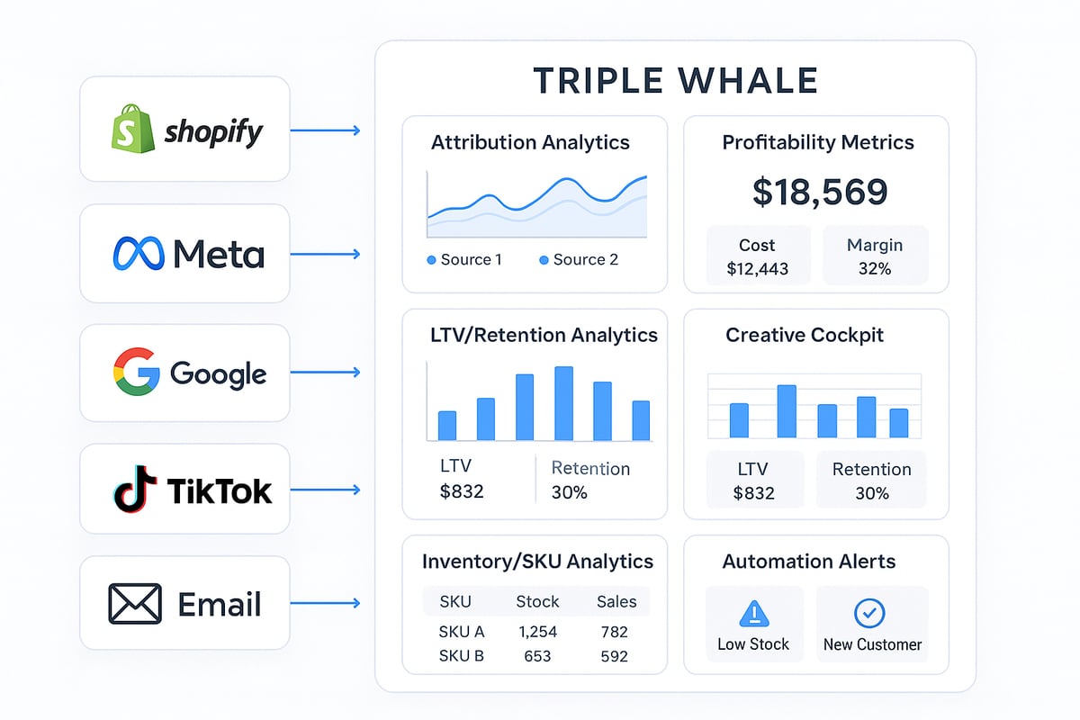 Triple Whale Dashboard 2025: Complete Guide to Mastering Analytics