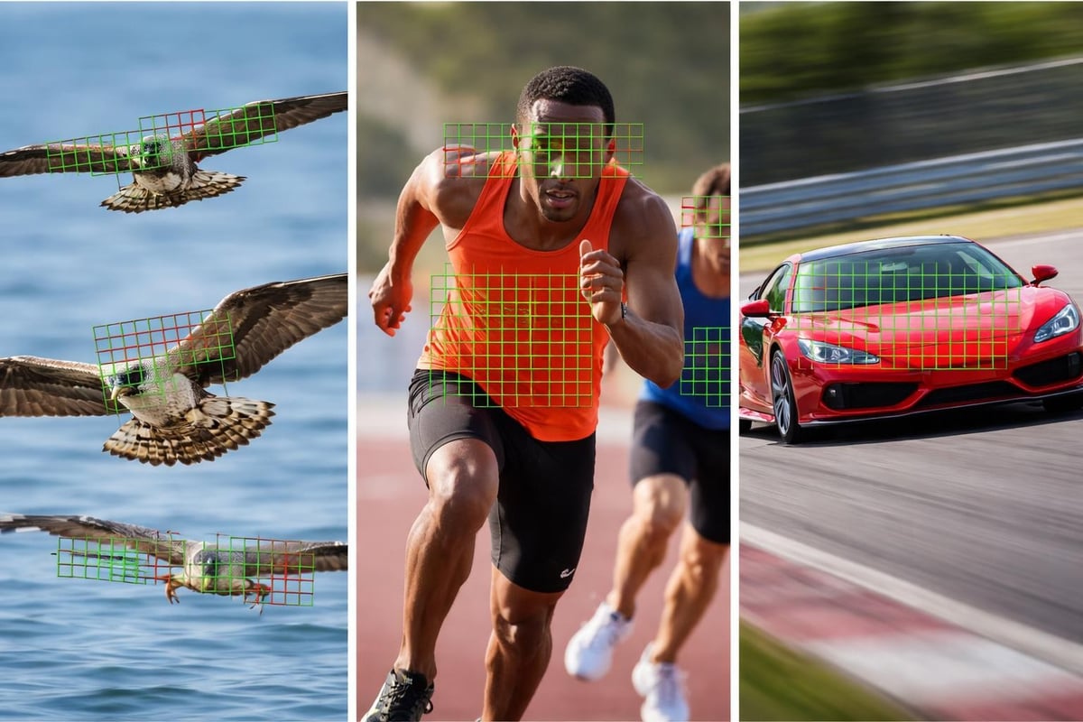 Nikon Z9 autofocus performance