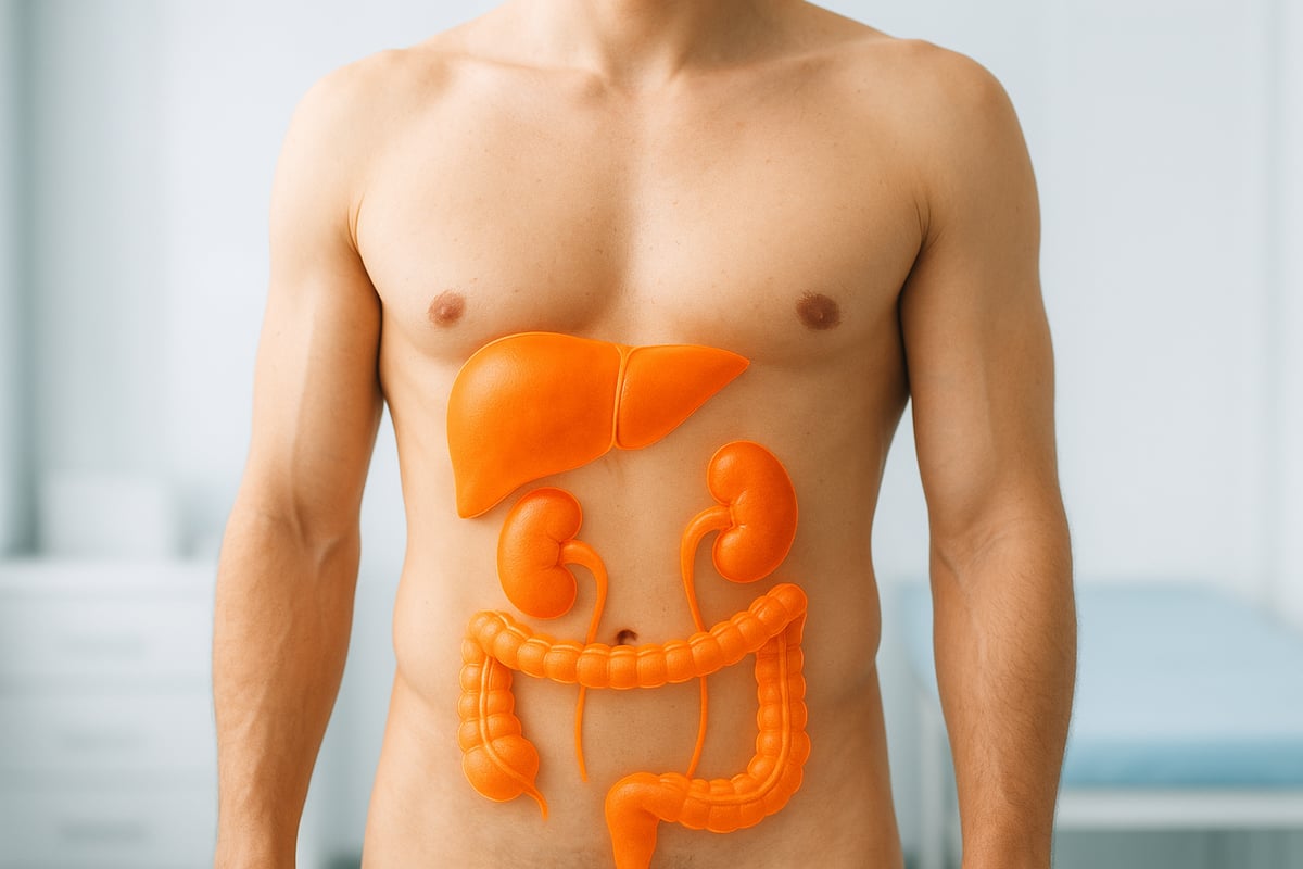 The Body’s Natural Detoxification Systems