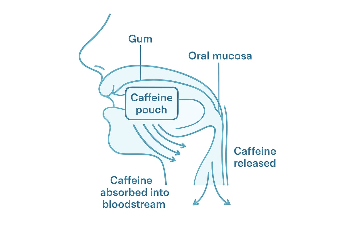 What Are Caffeine Pouches for Mouth?
