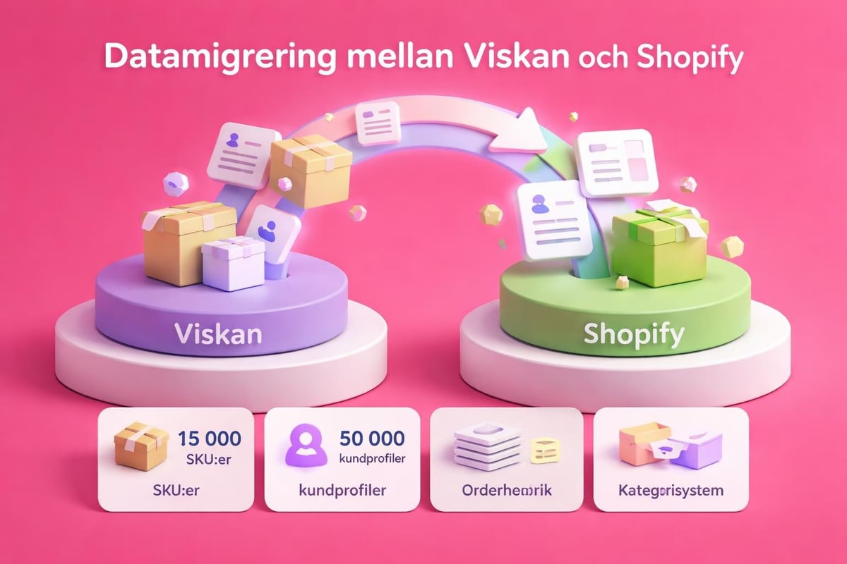 E-handelsdata migration