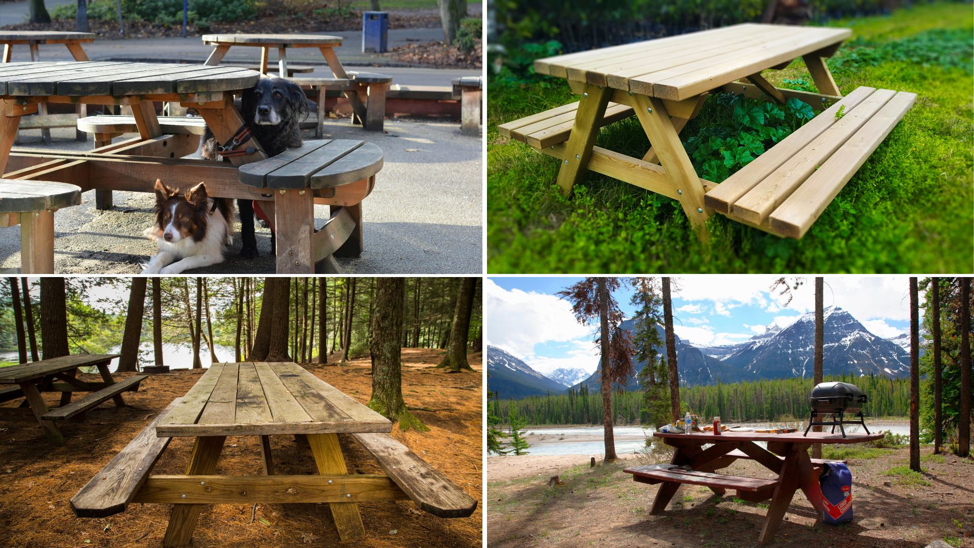 Styles and Designs: Choosing the Right Rustic Picnic Table