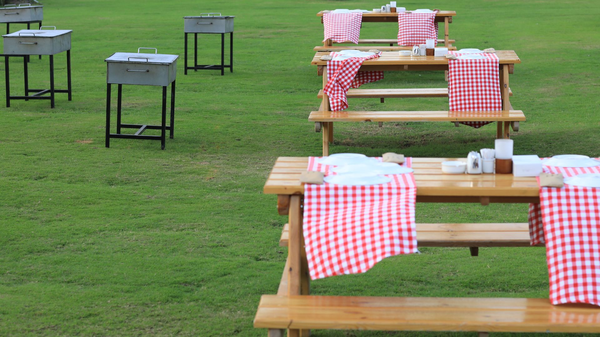 Materials Matter: Best Woods and Alternatives for 2026