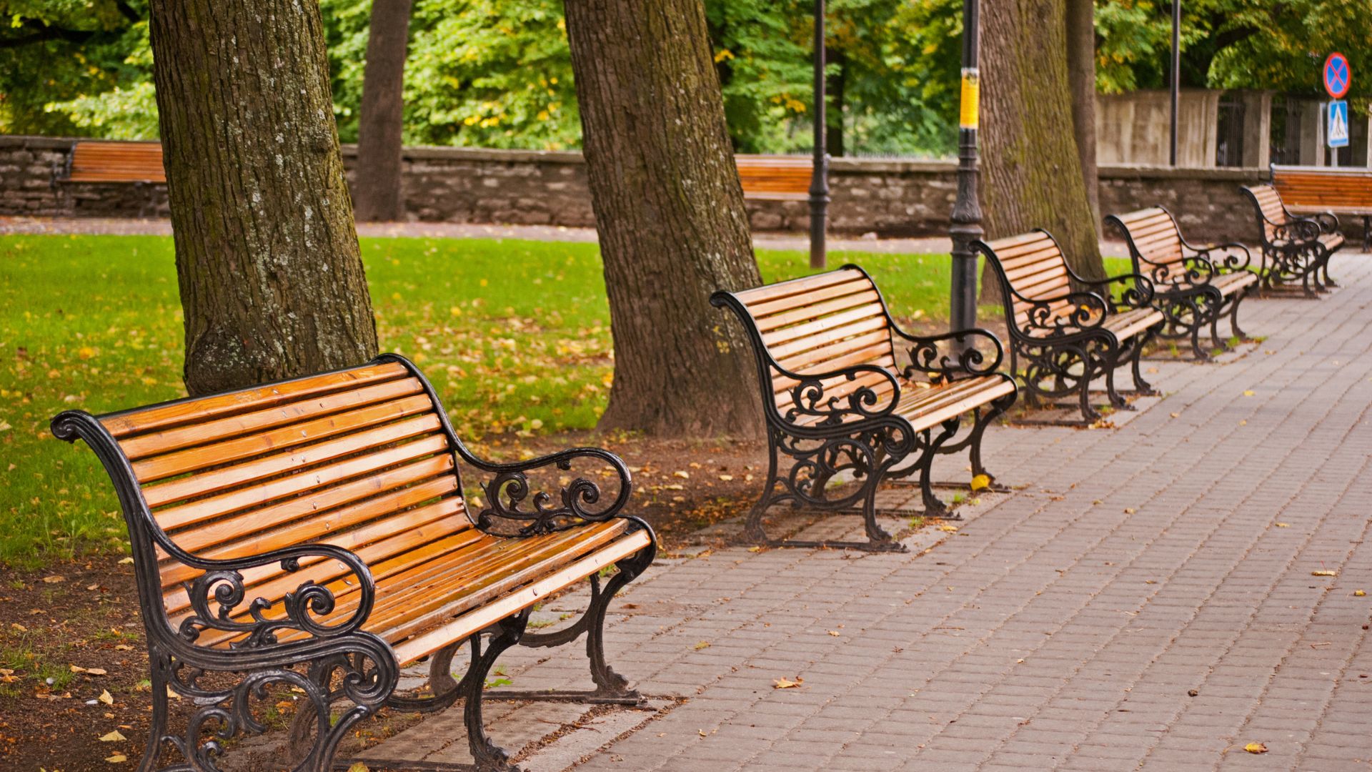 The Evolving Role of Park Furniture in Urban Spaces