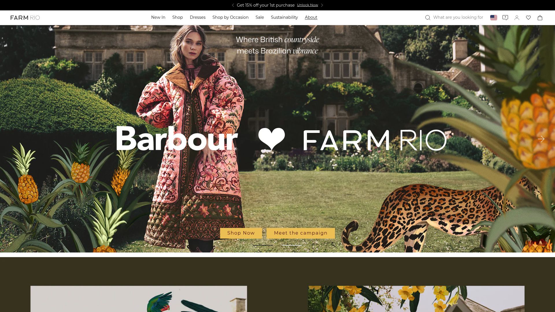 9 Must-Have Boutique Clothing Picks for 2025 Style - Farm Rio – Tropical Printed Maxis