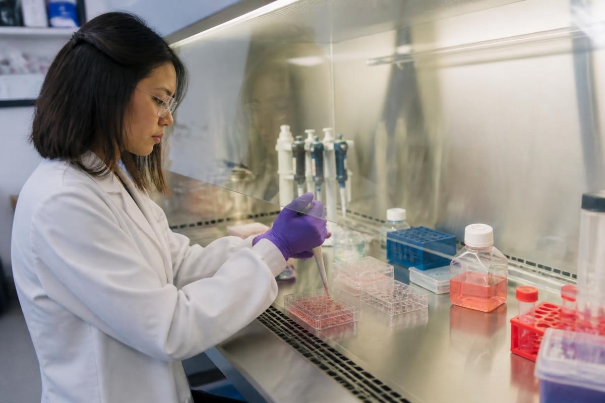 IPSC reprogramming process