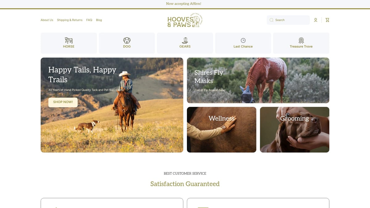 Essential Horse Boots Guide: Choosing the Right Fit in 2025 - Shop Horse Boots at Hooves and Paws