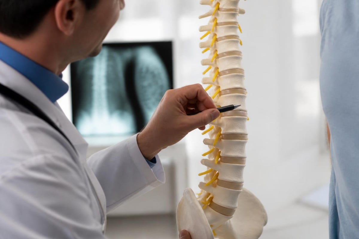 Processo de regeneração da coluna vertebral