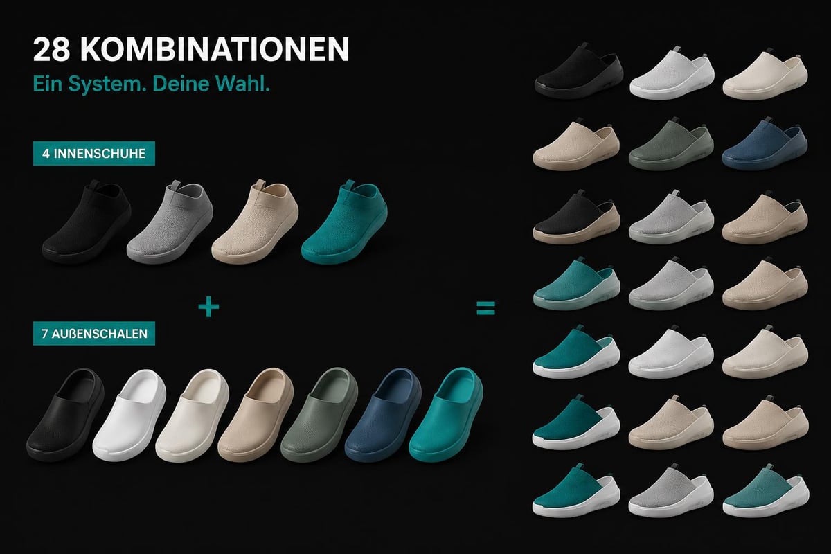 Modular shoe system