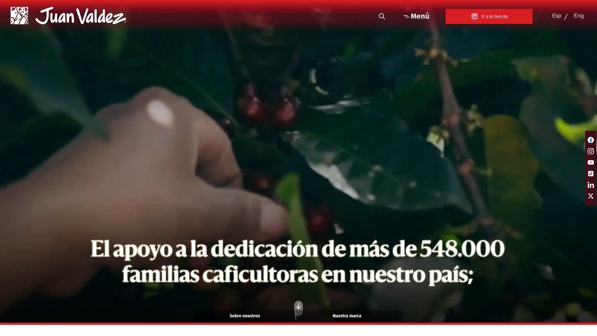 7 Essential Best Coffee Brand in Colombia Picks for 2026 - Juan Valdez