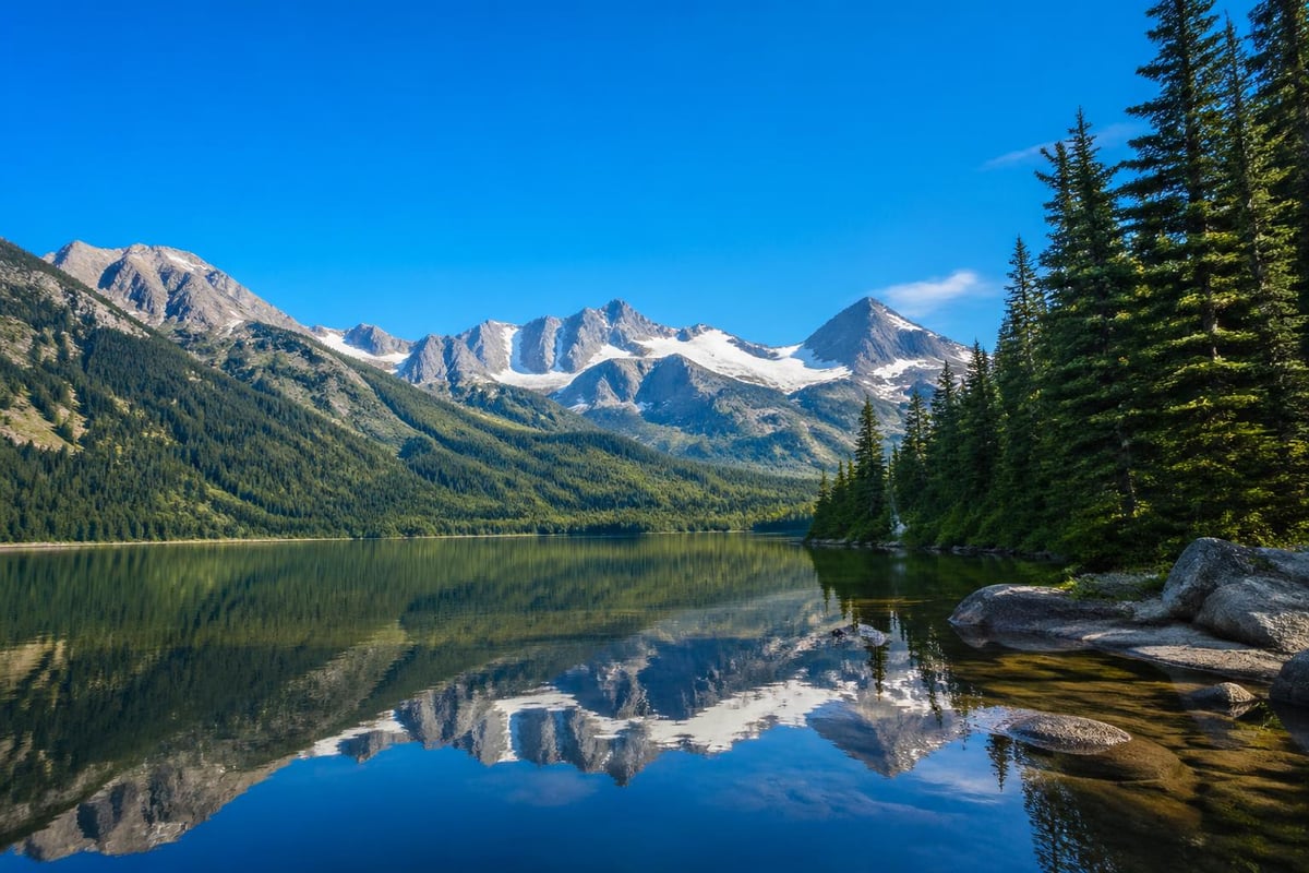 Purchase price allocation components