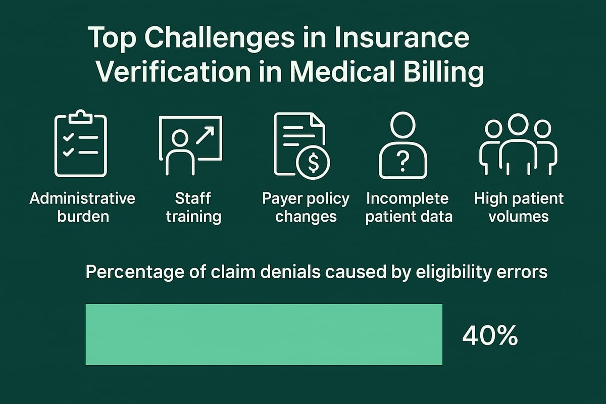 Common Challenges in Insurance Verification