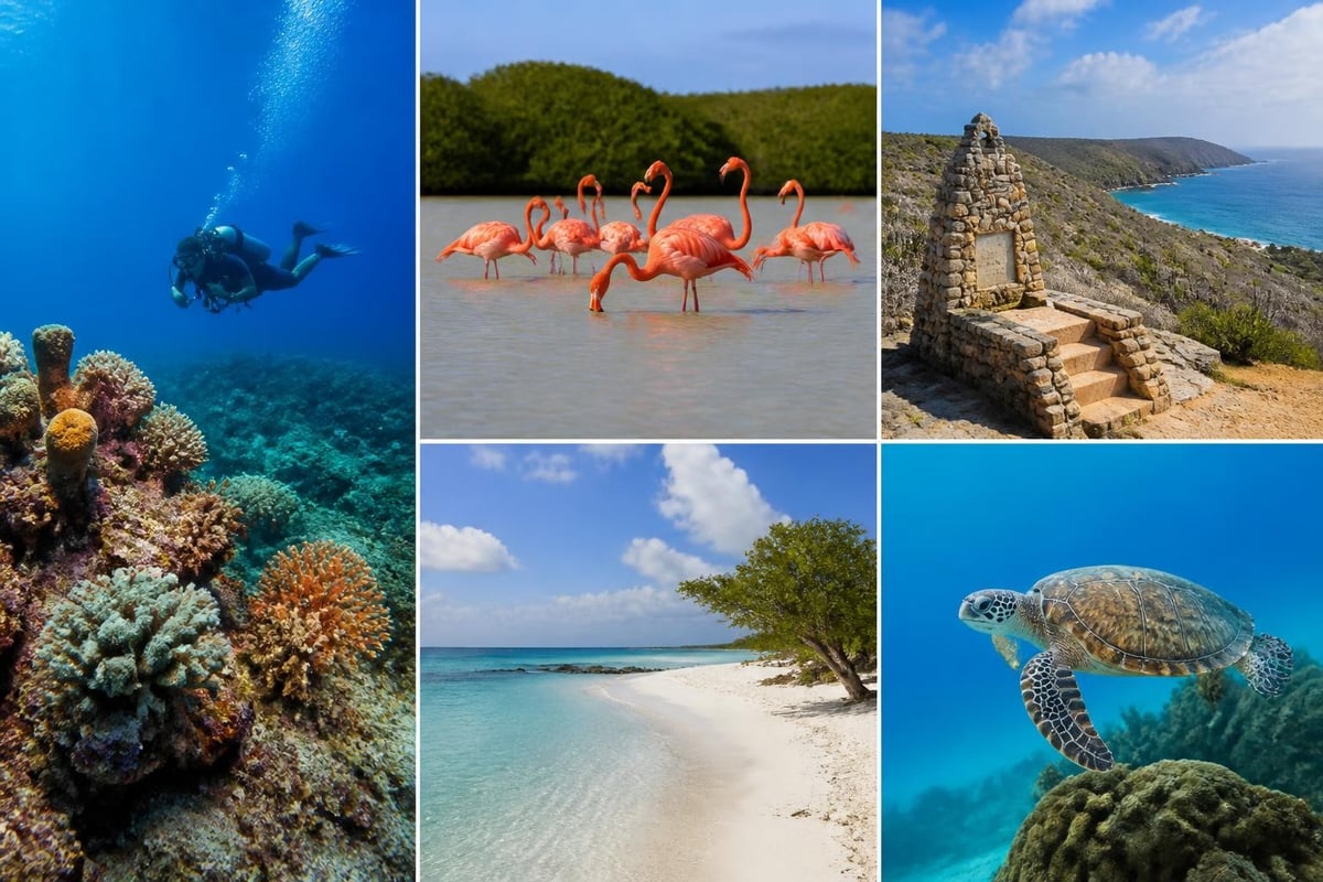 Bonaire diving and nature attractions