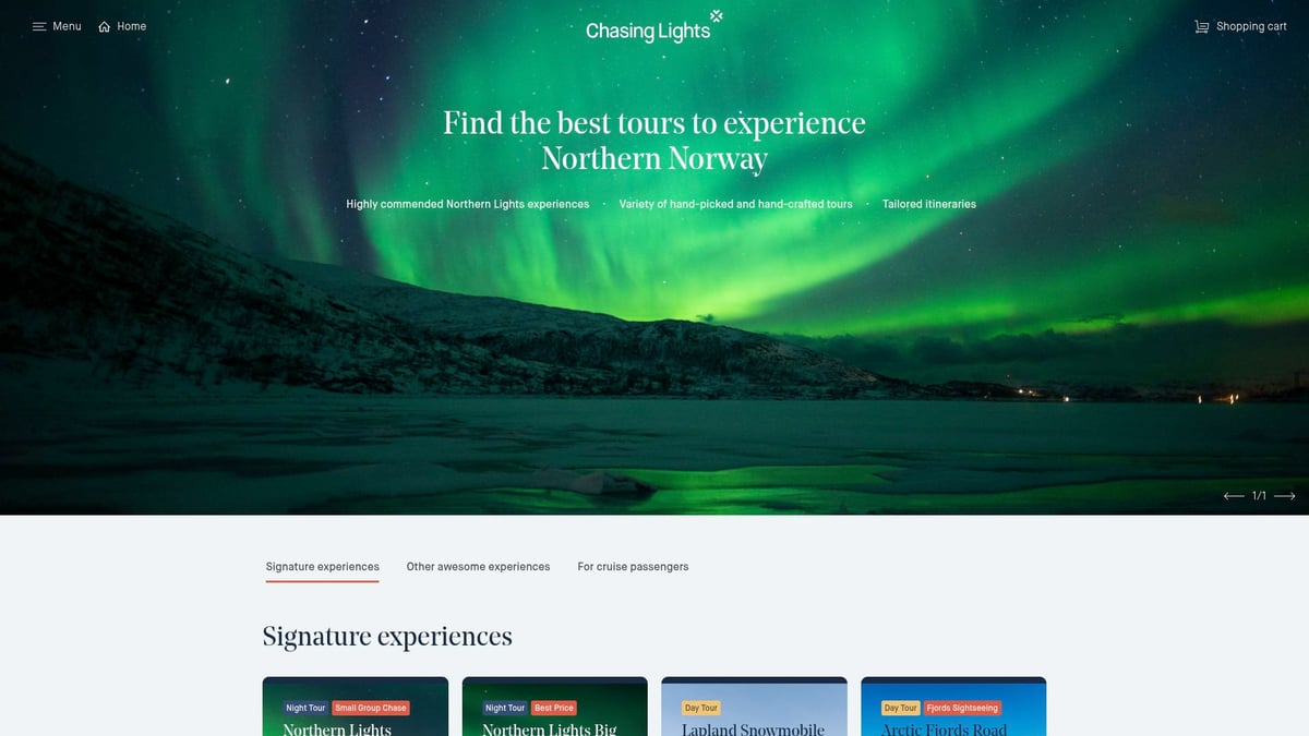 9 Unforgettable Best Aurora Borealis Tours for 2025 - Chasing Lights – Tromsø Northern Lights Chase (Norway)
