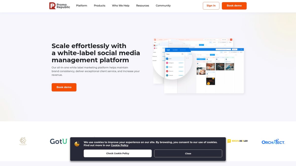 7 Top White Label Social Media Management Tools for 2025 - PromoRepublic