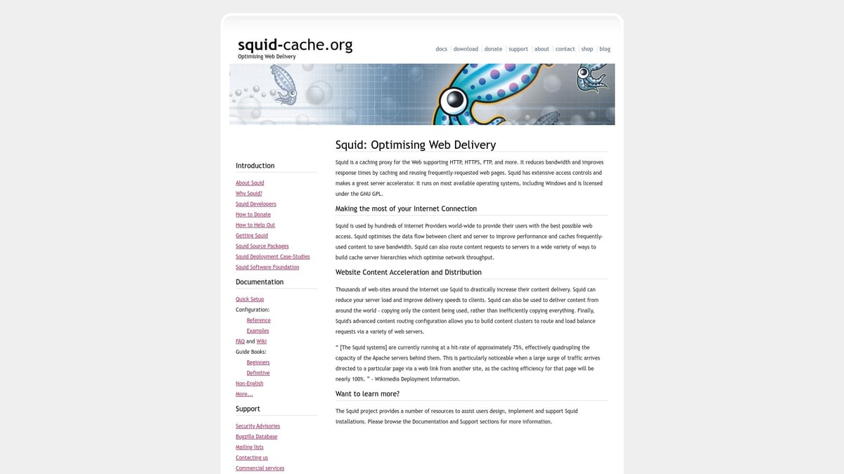 7 Essential Proxy Server Software Picks for 2025 - Squid Proxy