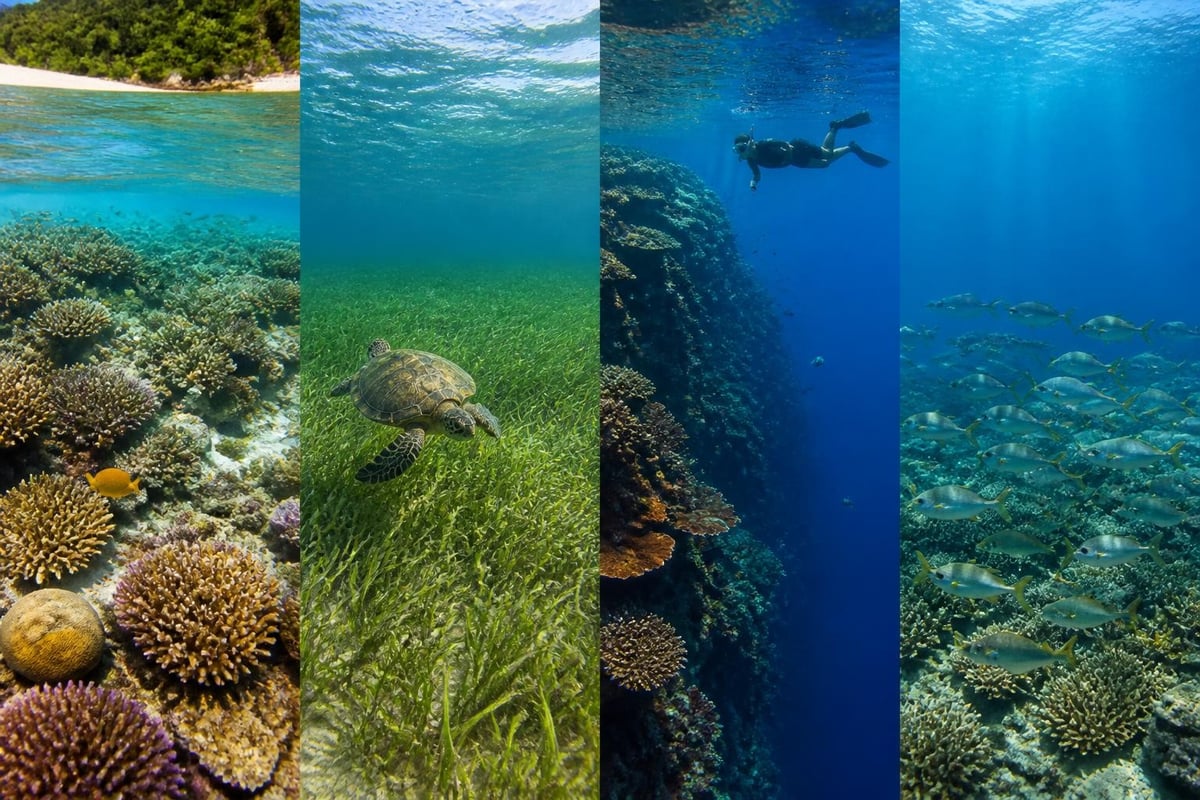 Marine biodiversity zones