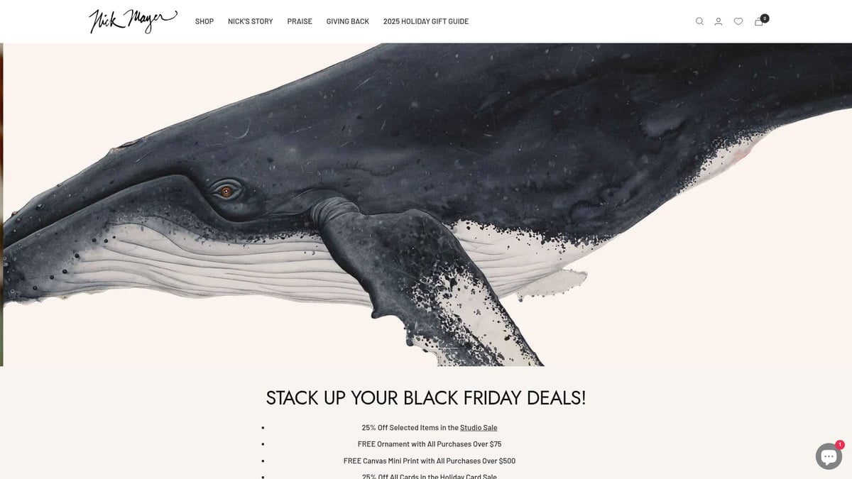 9 Ecom Sites Inspirants à Découvrir en 2026 - Nick Mayer Art