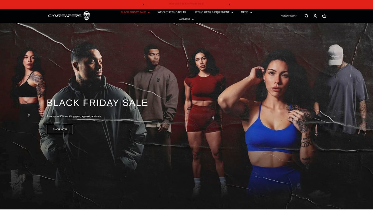 7 Essential Gym Belt For Weightlifting Picks in 2025 - Gymreapers Quick-Locking Nylon Belt