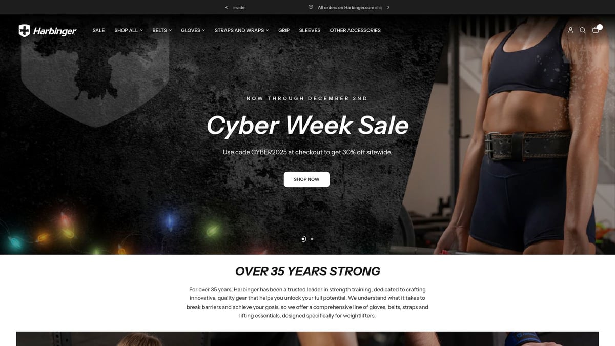 7 Essential Gym Belt For Weightlifting Picks in 2025 - Harbinger 4-Inch Nylon Weightlifting Belt