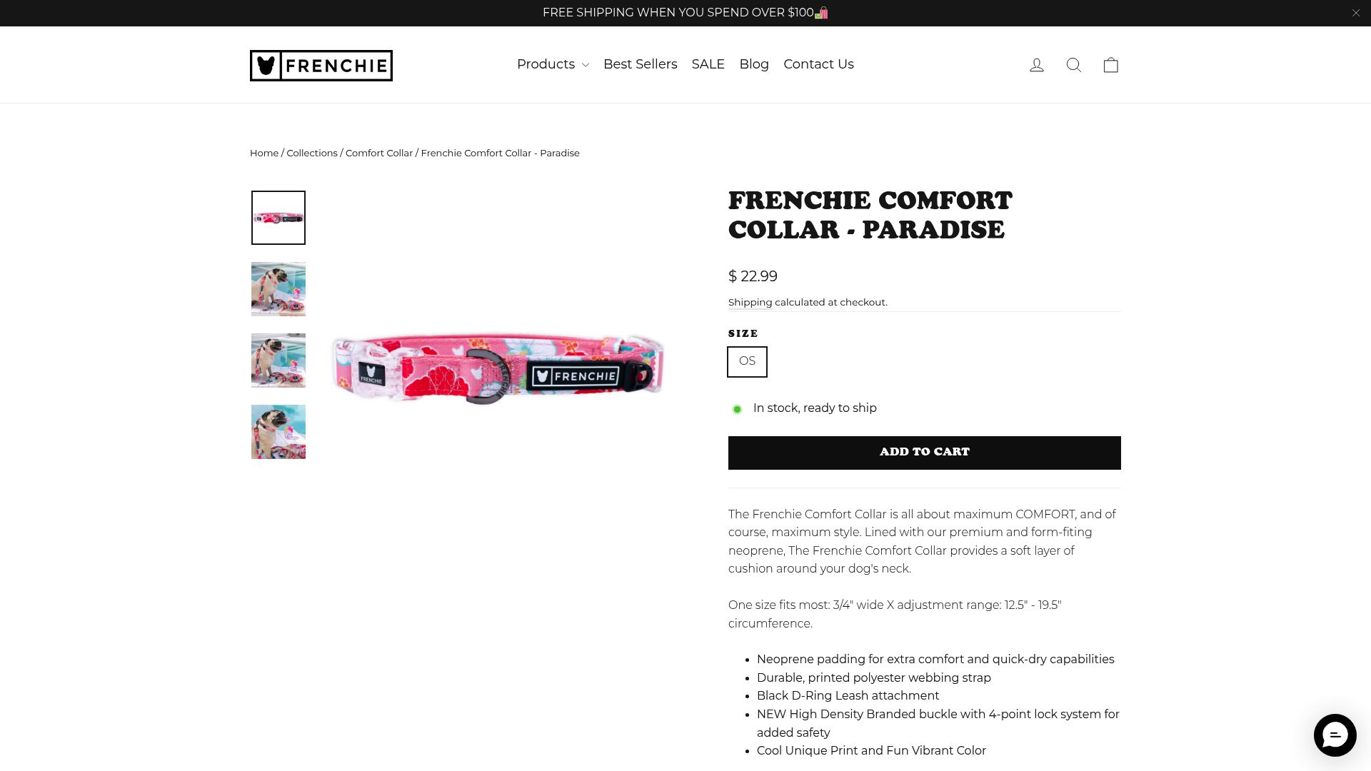 7 Best Dog Collars for French Bulldogs in 2025 - Frenchie Comfort Collar – Paradise