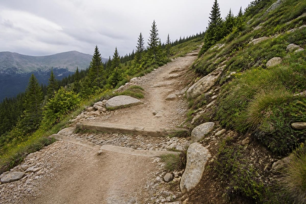 Trail maintenance systems