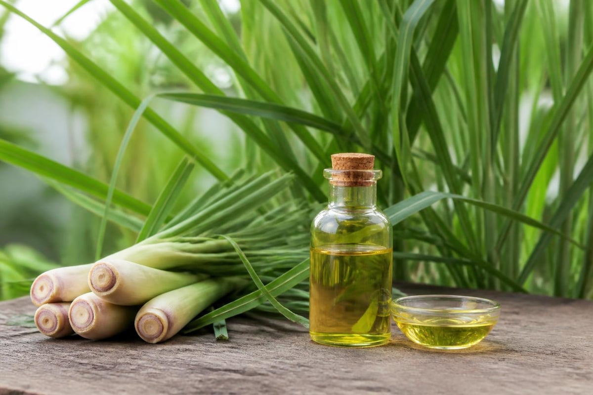 Lemongrass essential oil compounds
