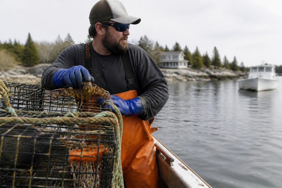 Maine lobster fishing and sustainability