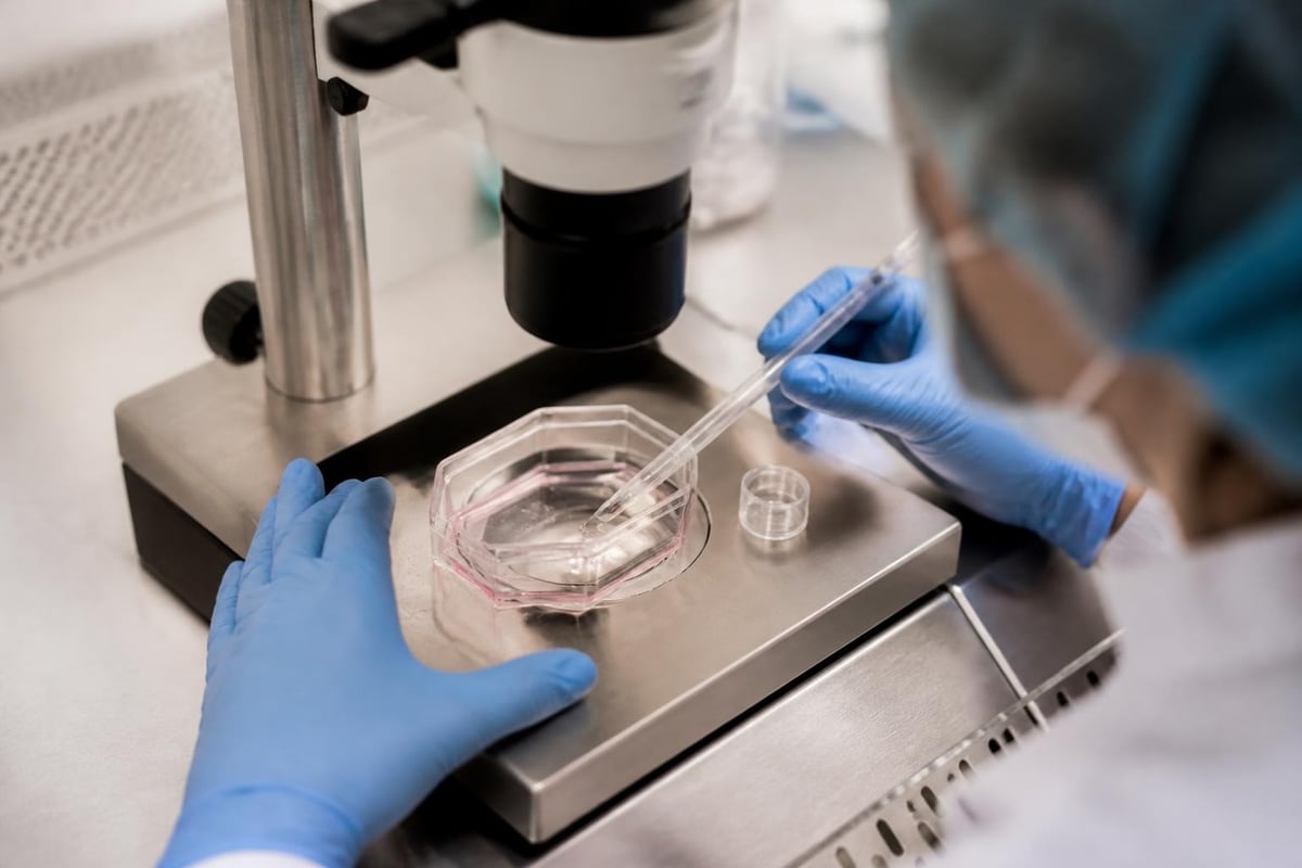 Stem cell signaling