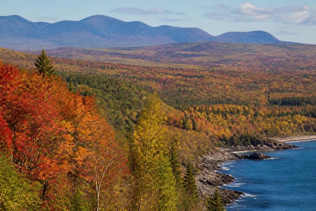 Maine fall foliage progression map