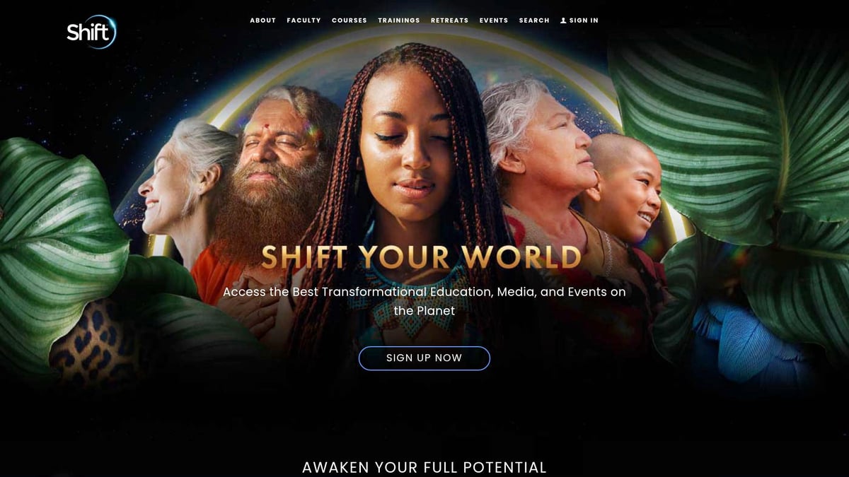 7 Best Online Courses for Holistic Healing in 2025 - The Shift Network: Certificate in Energy Medicine