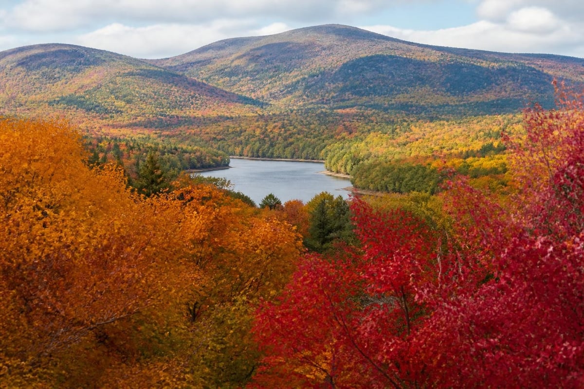Maine foliage progression timeline